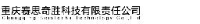 重庆赛思奇胜科技有限责任公司_企业Logo