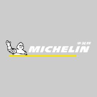 米其林（中国）投资有限公司_企业Logo