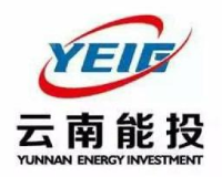 云南省盐业有限公司_企业Logo