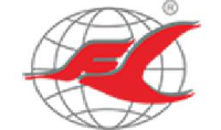 浙江飞力科技有限公司_企业Logo