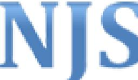 南京弹簧有限公司_企业Logo