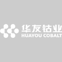 浙江华友钴业股份有限公司_企业Logo