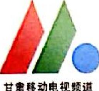 甘肃飞视新传媒有限责任公司_企业Logo