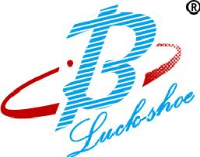 四川省大运水鞋业有限公司_企业Logo
