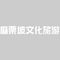 麻栗坡文化旅游投资开发有限公司_企业Logo