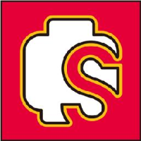 广东森宝文化实业有限公司_企业Logo