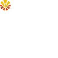 无锡盛景微电子股份有限公司_企业Logo
