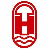 深圳洪涛集团股份有限公司_企业Logo