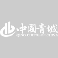 上海青城模型艺术设计有限公司_企业Logo