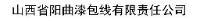 山西省阳曲漆包线有限责任公司_企业Logo
