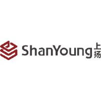 浙江上扬商业设备科技股份有限公司_企业Logo