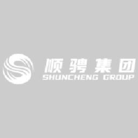 青岛顺骋汽车贸易有限公司_企业Logo