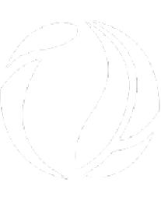 脉景（杭州）健康管理有限公司_企业Logo