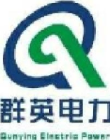 陕西群英电力科技服务有限公司_企业Logo