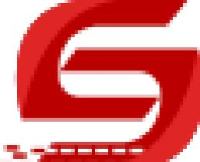 浙江东伸文化传媒有限公司_企业Logo