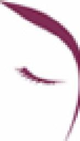 东莞市优黛美化妆用具有限公司_企业Logo