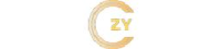 深圳市智云软件开发有限公司_企业Logo