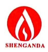 浙江盛安达工程有限公司杭州第一分公司_企业Logo