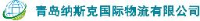 青岛纳斯克国际物流有限公司_企业Logo