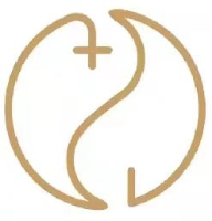 深圳两仪科技技术有限公司_企业Logo