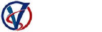 湖南维尚科技有限公司_企业Logo