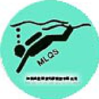 江西铭龙潜水打捞服务有限公司_企业Logo