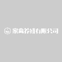 深圳电魔术科技有限公司_企业Logo