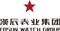 上海汉辰表业集团有限公司_企业Logo