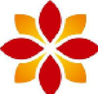 宝石花（海南）互联网医院有限公司_企业Logo