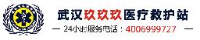 武汉市玖玖玖急救站有限公司_企业Logo