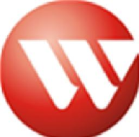 河北新立中有色金属集团有限公司_企业Logo