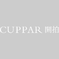 北京开拍国际拍卖有限公司_企业Logo