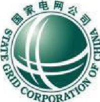 国网西藏电力有限公司营销服务中心_企业Logo