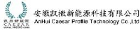 安徽凯撒新能源科技有限公司_企业Logo