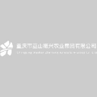 重庆巫山振兴现代产业集团有限公司_企业Logo