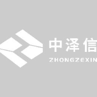 中泽信技术(深圳)有限公司_企业Logo