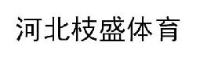河北枝盛体育器材有限公司_企业Logo