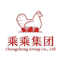 深圳乘乘控股集团有限公司_企业Logo