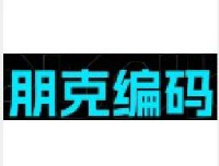 朋克编码（深圳）文化创意有限公司_企业Logo