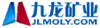 洛南县九龙矿业有限公司西安分公司_企业Logo